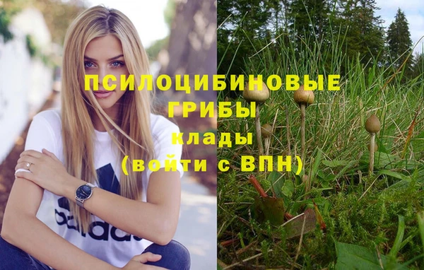кокаин колумбия Алексин