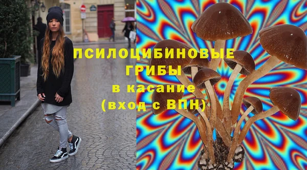 тгк Костерёво